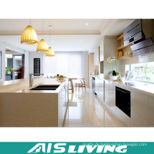Europa-Art-nach Maß Möbel PVC-Küchenschränke (AIS-K701)